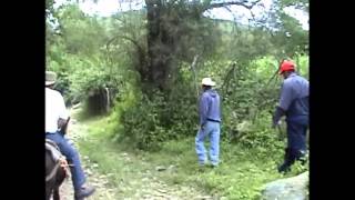 VICENTE FERNANDEZ { LOS CAZAHUATES }