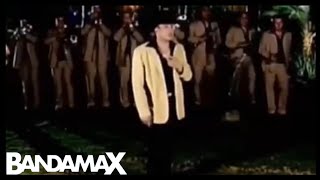 Tengo Ganas (Valentin Elizalde)