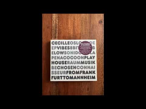 From Frankfurt To Mannheim mixed by Sascha Dive 2009