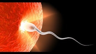 Conservative: Life Begins BEFORE Conception