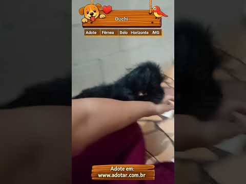 Vídeo de Duchi