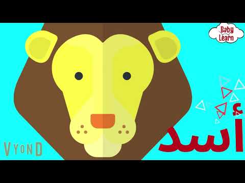 فيديو مجمع من زودا - تعليم الاطفال البيت والالوان وجسمي وخضار وفاكهة والافعال