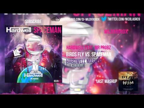 Hardwell Feat  Mr.Probz - Birds Fly vs.Spaceman (Hardwell Mashup)(Ziggo Dome 2015)