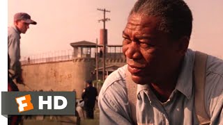The Shawshank Redemption (1994) - I Just Miss My Friend Scene (8/10) | Movieclips