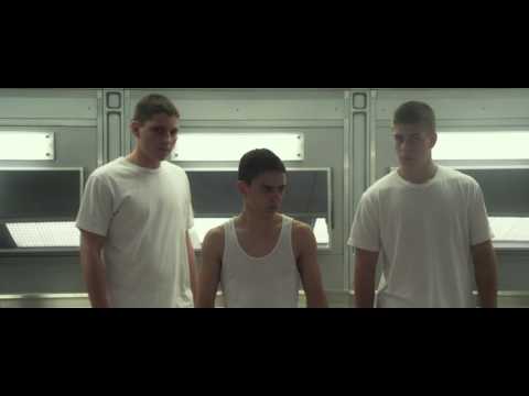 Never find yourself troubles! See what happened to Bonzo