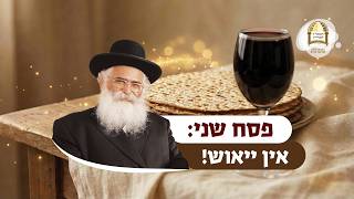 הרב יורם אברג'ל: פסח שני: אין ייאוש!