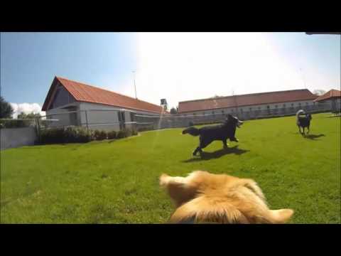 DJ Hamida & Tiiw Tiiw - ""Chaabi Live Band