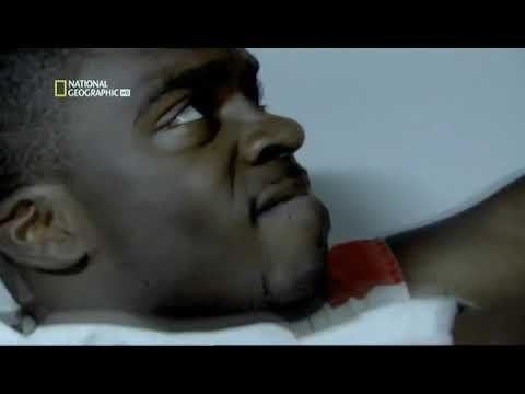 Fugas de prisión: 2- El escapista