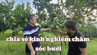 🌟 EXCHANGE EXPERIENCES WITH CEO THIEM: THE SECRET TO MAKING GRAPEFRUIT SWEET IN 2025 🌿🍊