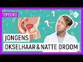 WAT GEBEURT ER MET JE LICHAAM IN DE PUBERTEIT | Vraag het dokter Elbert | NPO Zapp