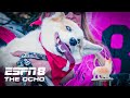 Wrong Way Loki wins by a whisker in the 2022 Corgi Races at Emerald Downs | ESPN8: The Ocho - ESPN Wrong Way Loki wins by a whisker in the 2022 Corgi Races at Emerald Downs | ESPN8: The Ocho