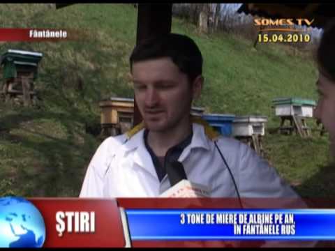 06_3 Tone De Miere De Albine Pe An In Fantanele Rus