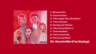 Music video thumbnail preview for Pond - Nashville I'm Dying (Official Audio) by Pond