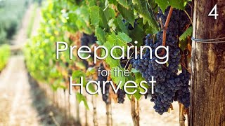 Preparing for the Harvest - 4