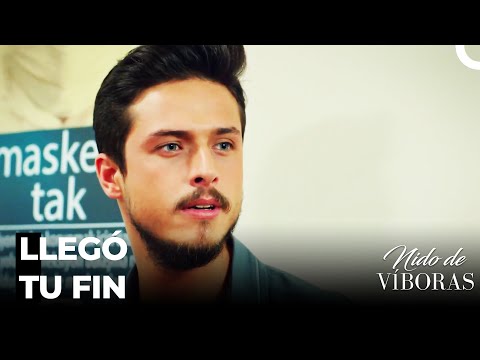 A Sra. Bereket Le Estaba Descendiendo Al Corazón - Nido De Víboras