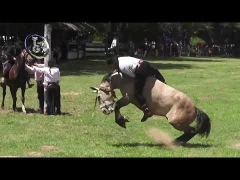 Cayasta, Clasificacion Categ. Clina 2025, Fiesta Prov. de la Doma, 23 de Noviembre 2025