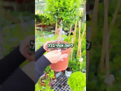 תמונה של משתלת פאר