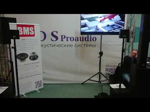 Пример использования акустической системы DS Proaudio CX 106