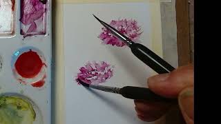 Paint Realistic Carnations with Watercolor