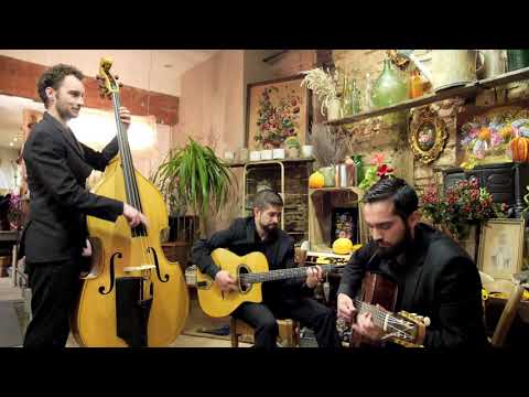 Juzna vasta "Medeno Kolo"