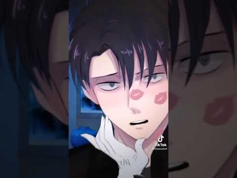 Levi x y/n