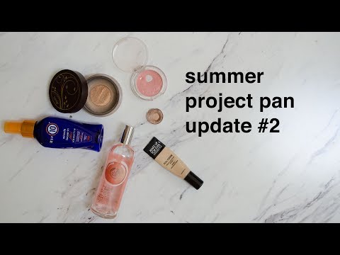 Summer Project Pan Update #2 | morerebe