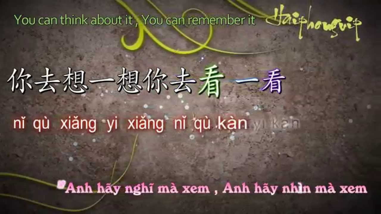 Ánh trăng nói hộ lòng em - 月亮代表我的心 [VietSub+kara] Pinyin