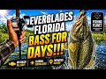 Fishing Planet 2022 Largemouth Bass Hotspot Beginners Guide Everglades Florida