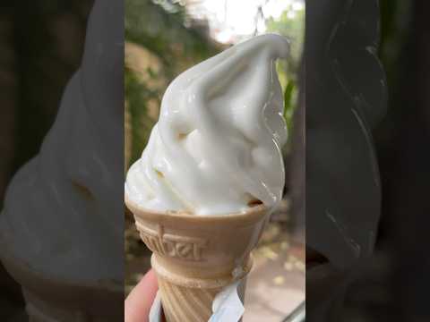 I never say no to ice cream😋 | #shorts #ytshorts #softserve #icecream