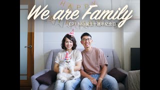 [心得/閃光] 我家貓咪11歲生日啦 