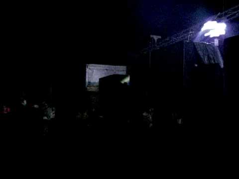 monkey family / cromozome 30kw 2009