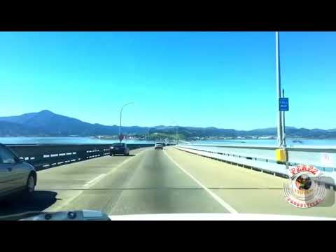 armando y rené la feria de las flores