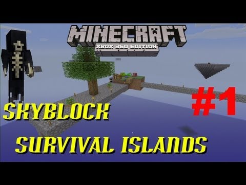 Insane Skyblock Survival! Beware of Witchcraft!