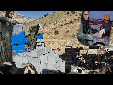 Mina and Zohreh: A Story of Love and Struggle in Nature