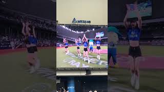 【CT Girls】PREMIER12 日本VS台湾@台北大巨蛋20241116 #台湾チア #cheerleading #ctgirls #啦啦隊 #premier12 #teamtaiwan