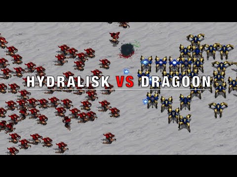Can Hydralisks beat Dragoons?