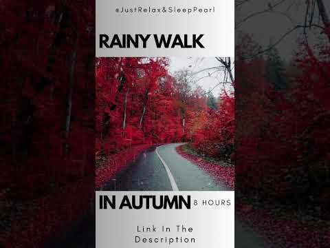ASMR Rainy Forest Road in Autumn with Cozy Natural Rain Sounds #shorts