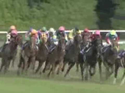 2009Yasuda Kinen 安田記念