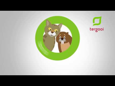 Tergooi - Boris en Bever: Buisjes plaatsen