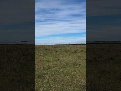 Laguna La Limpia en el Partido de Chascomús Buenos Aires Argentina