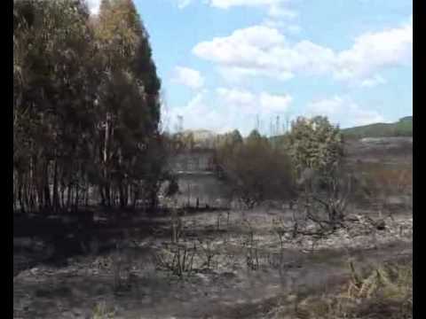 INCENDIO EN VILARDEVÓS