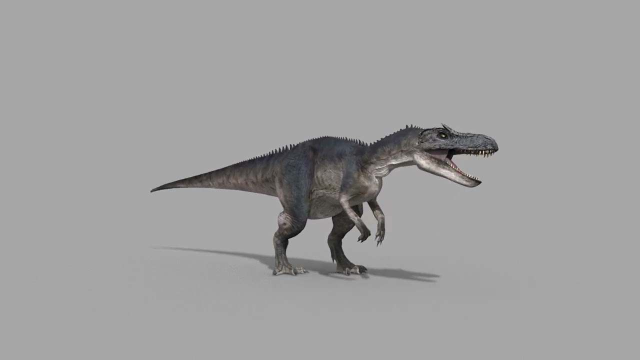 Real Animated Allosaurus - 8K 3D Model