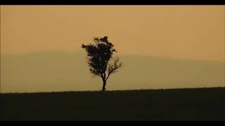 Yana Yana | Manuş Baba