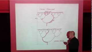 Fractal Flows and the Arrow of Time | Leonard Susskind