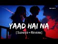 Yaad Hai Na Slowed Reverb Arijit Singh Jeet Gannguli Raaz Reboot SR Lofi