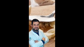 3 Melhores Remédios Caseiros para DOR de DENTE. Alho é o campeão #shorts