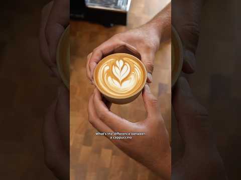 Cappuccino vs. Flat White - What’s the difference? #coffee