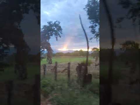 Atardecer en los arrozales del municipio de Ambalema, Tolima.