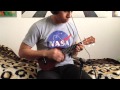 Ukulele instrumental cover of Paramore's ...