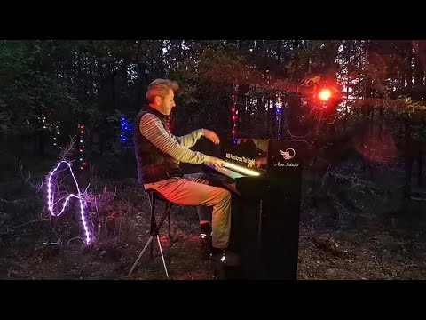 🎹 Forest Piano Concert [live]🌳 by Arne Schmitt